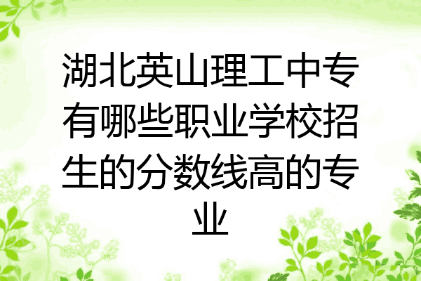 湖北英山理工中专有哪些职业学校招生的分数线高的专业
