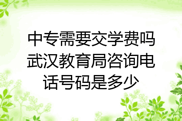 中专需要交学费吗武汉教育局咨询电话号码是多少