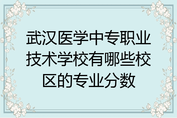 武汉医学中专职业技术学校有哪些校区的专业分数