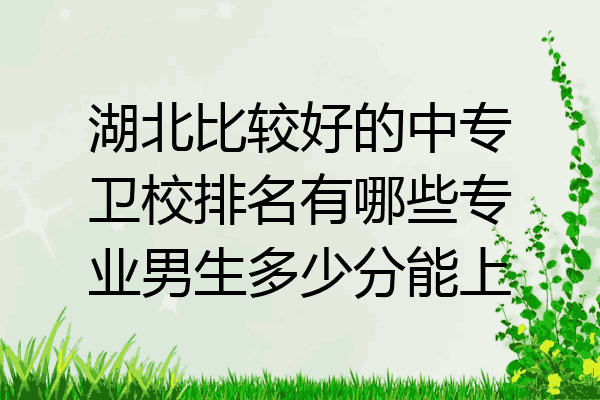 湖北比较好的中专卫校排名有哪些专业男生多少分能上
