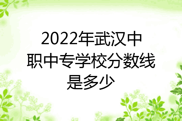 2022年武汉中职中专学校分数线是多少