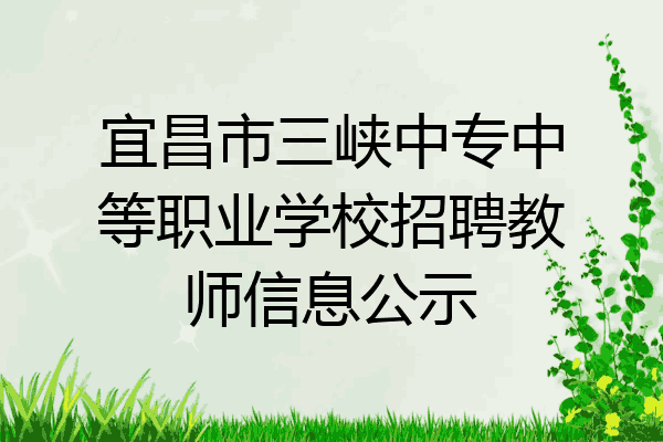 宜昌市三峡中专中等职业学校招聘教师信息公示