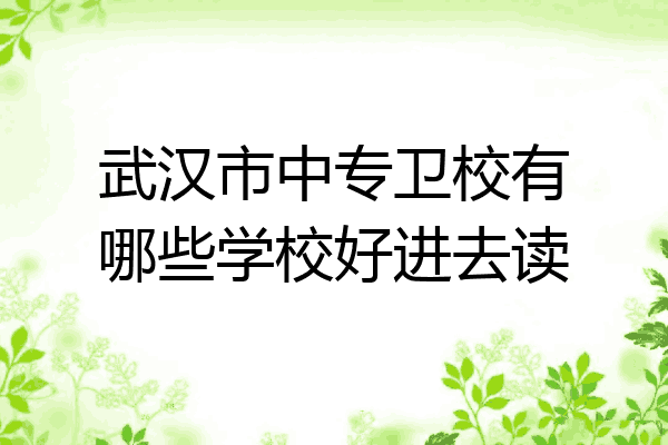 武汉市中专卫校有哪些学校好进去读