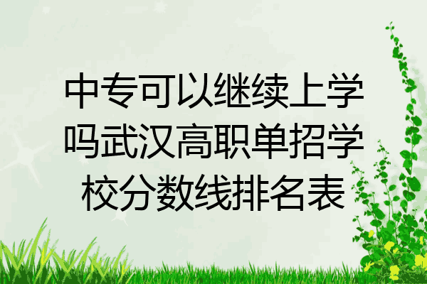 中专可以继续上学吗武汉高职单招学校分数线排名表