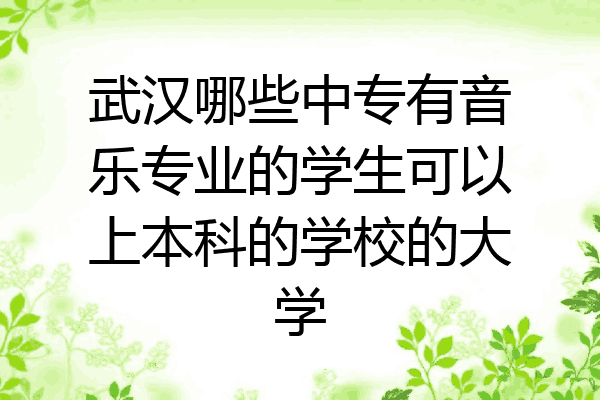 武汉哪些中专有音乐专业的学生可以上本科的学校的大学