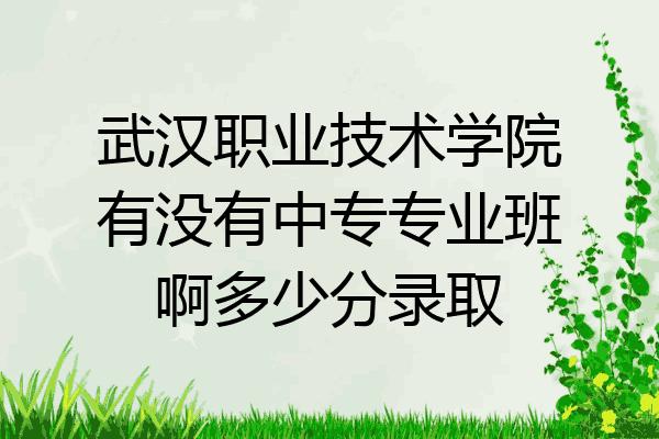 武汉职业技术学院有没有中专专业班啊多少分录取