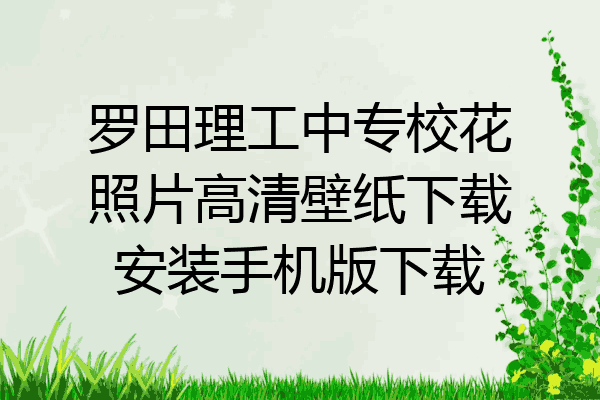 罗田理工中专校花照片高清壁纸下载安装手机版下载