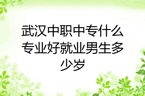 武汉中职中专什么专业好就业男生多少岁