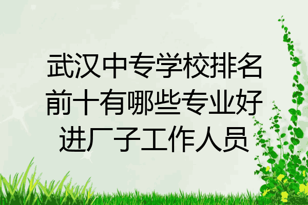 武汉中专学校排名前十有哪些专业好进厂子工作人员