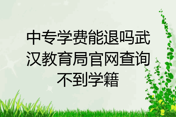 中专学费能退吗武汉教育局官网查询不到学籍