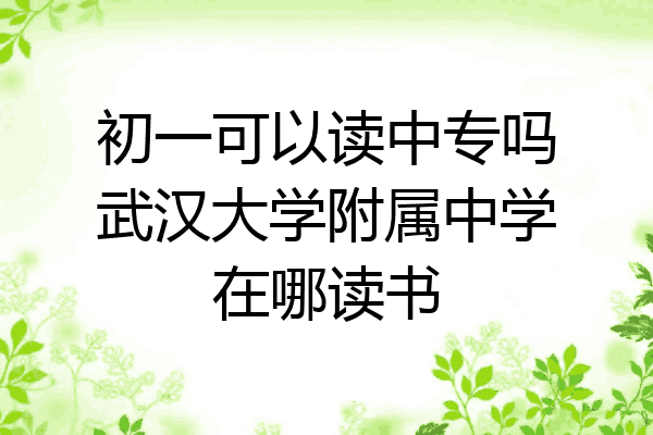 初一可以读中专吗武汉大学附属中学在哪读书