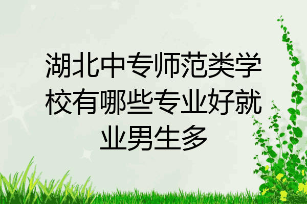 湖北中专师范类学校有哪些专业好就业男生多