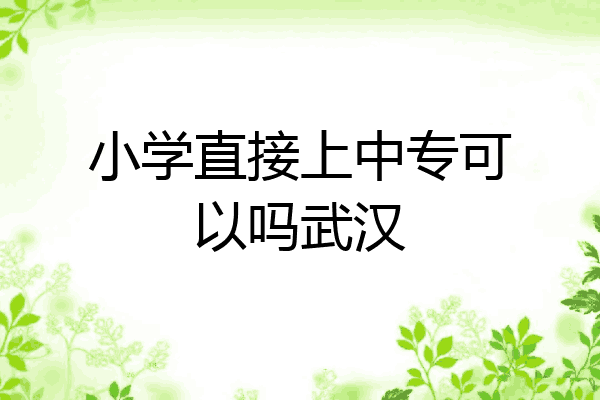 小学直接上中专可以吗武汉
