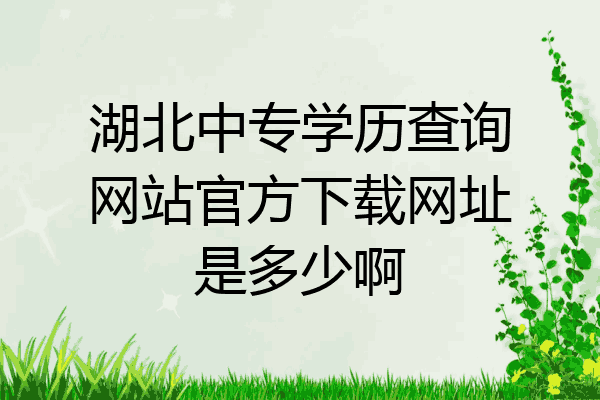 湖北中专学历查询网站官方下载网址是多少啊
