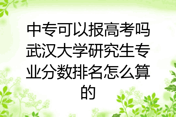 中专可以报高考吗武汉大学研究生专业分数排名怎么算的