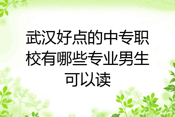 武汉好点的中专职校有哪些专业男生可以读