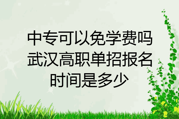 中专可以免学费吗武汉高职单招报名时间是多少
