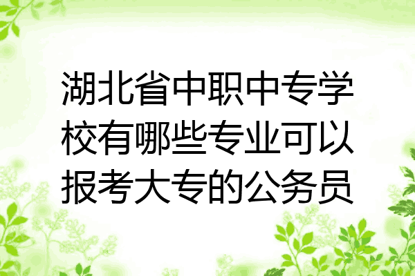 湖北省中职中专学校有哪些专业可以报考大专的公务员