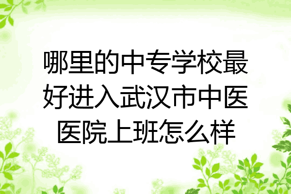 哪里的中专学校最好进入武汉市中医医院上班怎么样