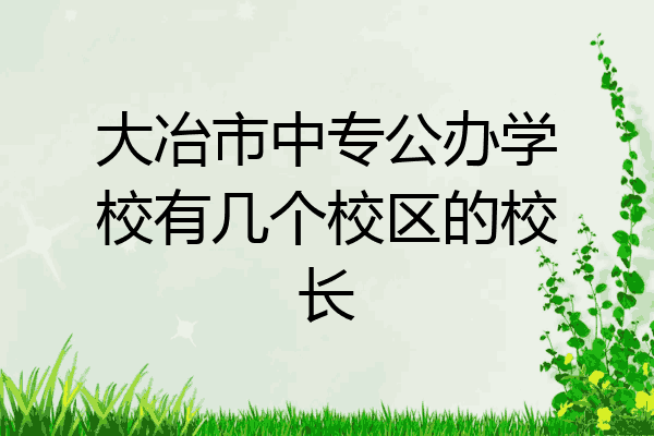 大冶市中专公办学校有几个校区的校长