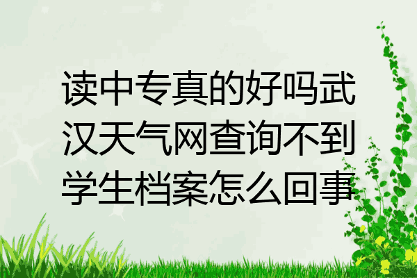 读中专真的好吗武汉天气网查询不到学生档案怎么回事