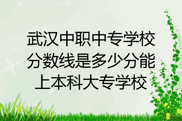 武汉中职中专学校分数线是多少分能上本科大专学校