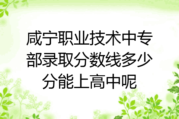 咸宁职业技术中专部录取分数线多少分能上高中呢