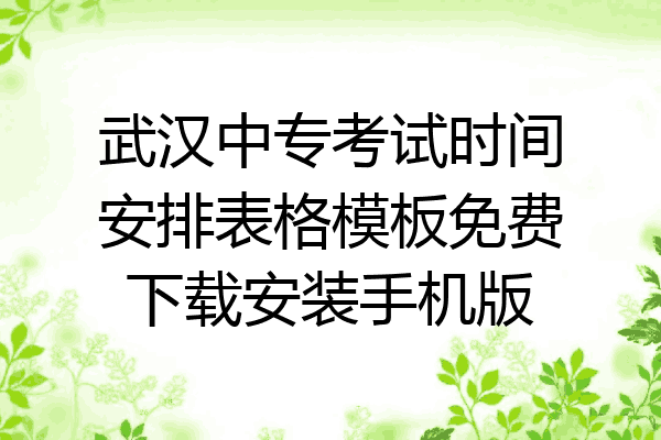 武汉中专考试时间安排表格模板免费下载安装手机版