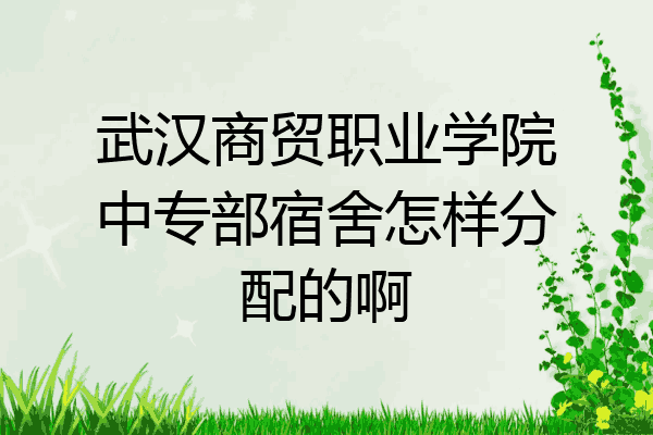 武汉商贸职业学院中专部宿舍怎样分配的啊
