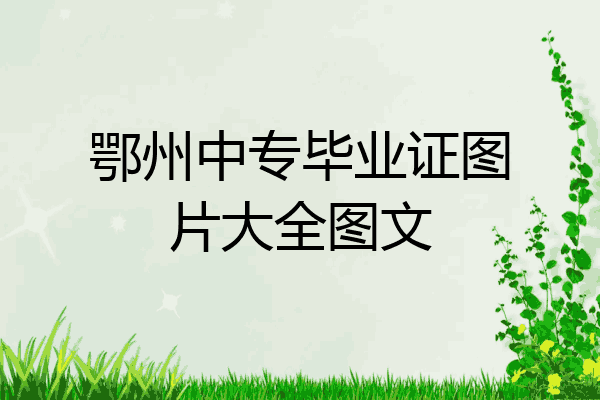 鄂州中专毕业证图片大全图文