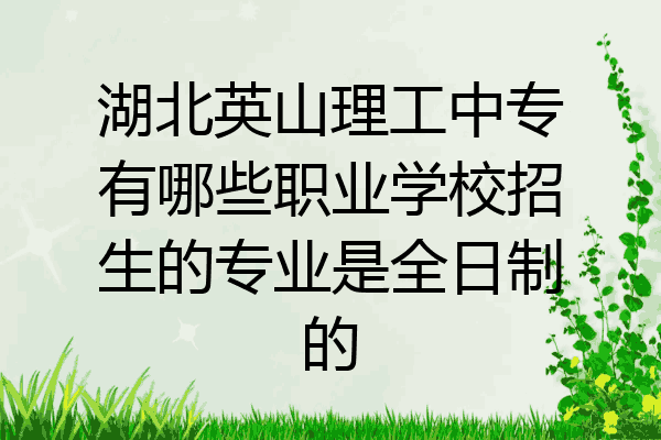 湖北英山理工中专有哪些职业学校招生的专业是全日制的