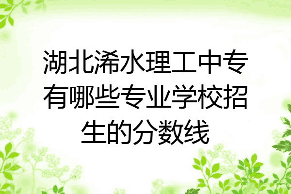湖北浠水理工中专有哪些专业学校招生的分数线