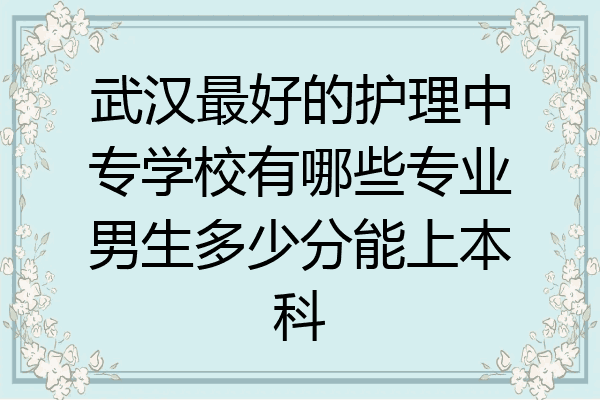 武汉最好的护理中专学校有哪些专业男生多少分能上本科