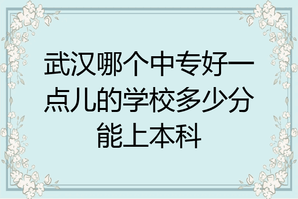 武汉哪个中专好一点儿的学校多少分能上本科