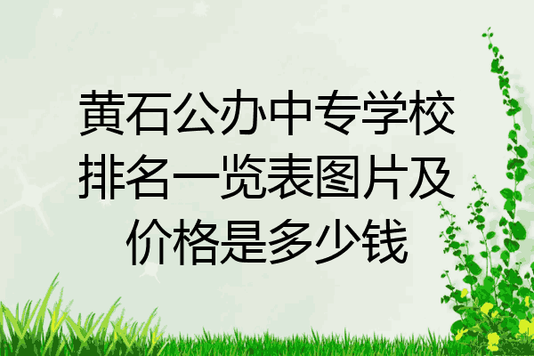 黄石公办中专学校排名一览表图片及价格是多少钱