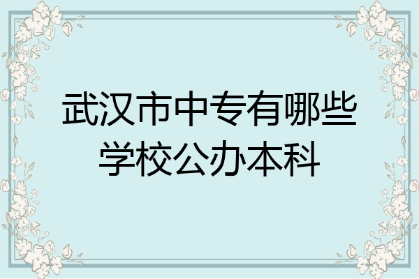 武汉市中专有哪些学校公办本科