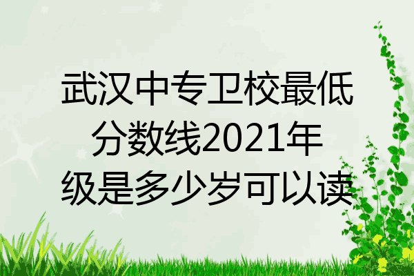 武汉中专卫校最低分数线2021年级是多少岁可以读