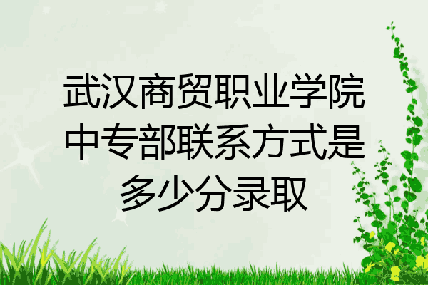 武汉商贸职业学院中专部联系方式是多少分录取
