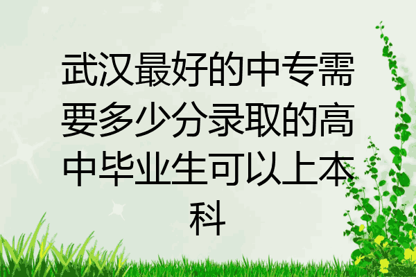 武汉最好的中专需要多少分录取的高中毕业生可以上本科