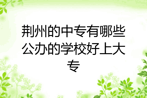 荆州的中专有哪些公办的学校好上大专