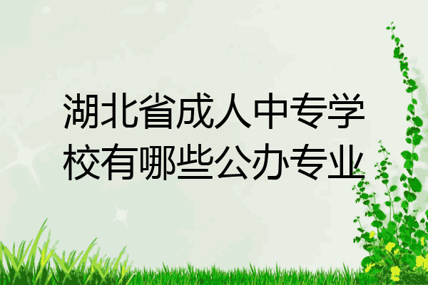 湖北省成人中专学校有哪些公办专业
