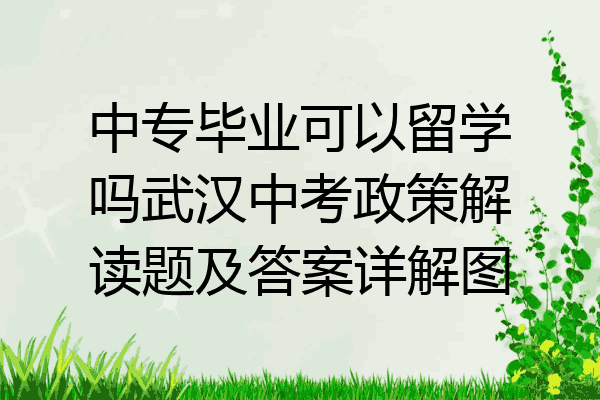 中专毕业可以留学吗武汉中考政策解读题及答案详解图
