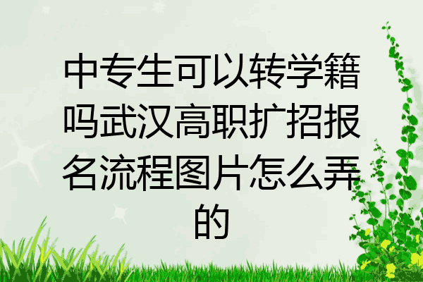 中专生可以转学籍吗武汉高职扩招报名流程图片怎么弄的
