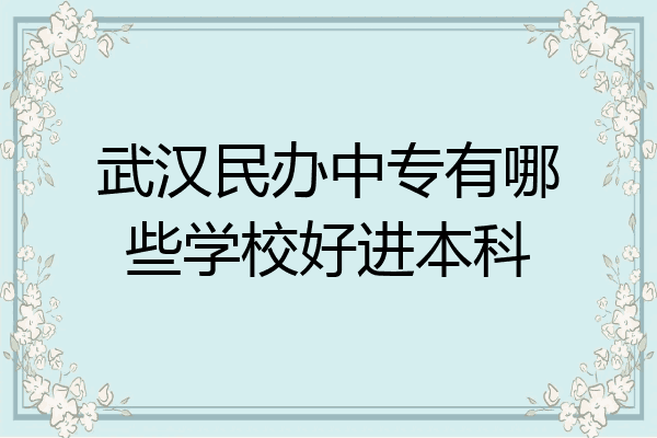 武汉民办中专有哪些学校好进本科