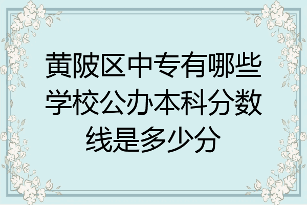 黄陂区中专有哪些学校公办本科分数线是多少分