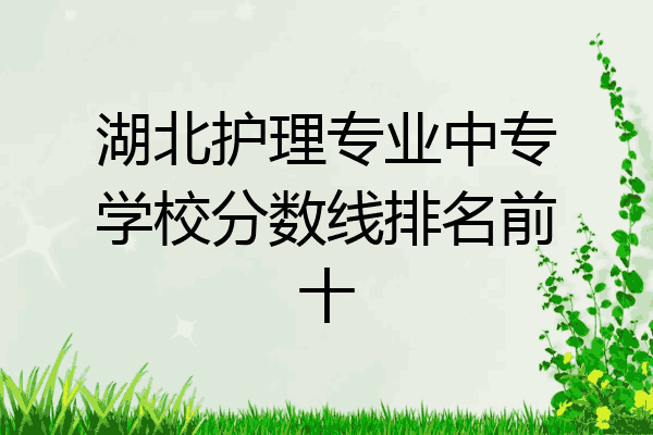 湖北护理专业中专学校分数线排名前十