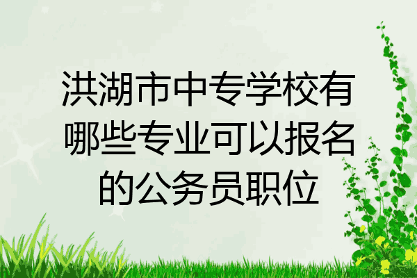 洪湖市中专学校有哪些专业可以报名的公务员职位