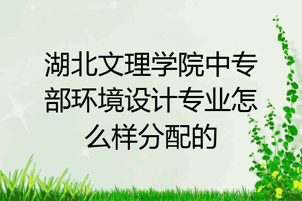 湖北文理学院中专部环境设计专业怎么样分配的