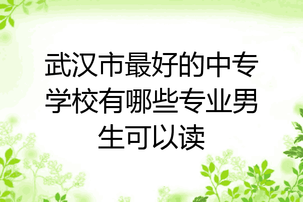 武汉市最好的中专学校有哪些专业男生可以读