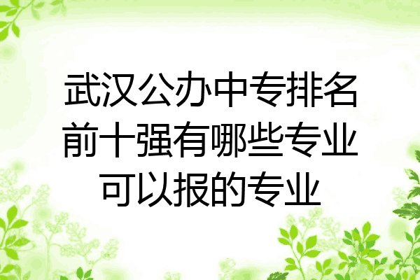 武汉公办中专排名前十强有哪些专业可以报的专业